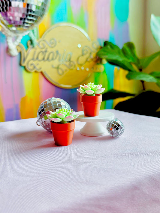 Spinny Succulent Fidget Spinner